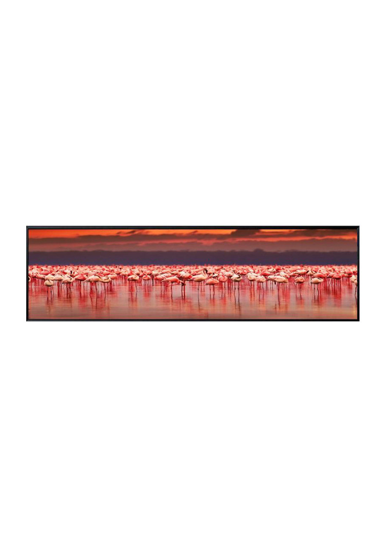 Stylish Luxury Wall Art for Homes Australia