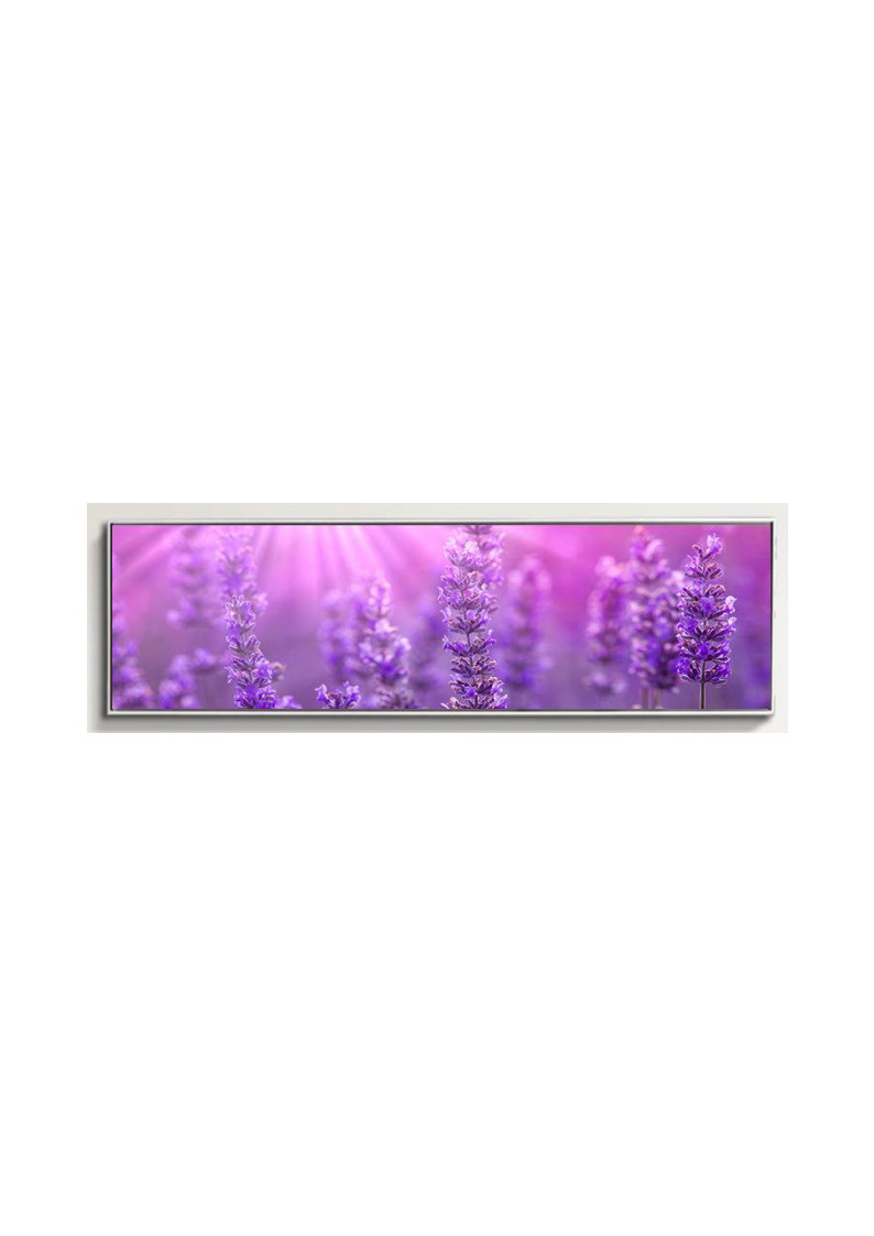 Best Purple Flower Wall Art for Sale Australia