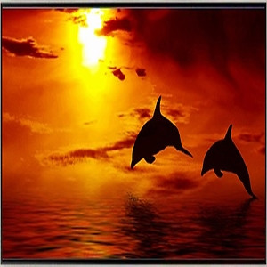 Acrylic Wall Art for Office & Shop | UV Printed Modern Decor