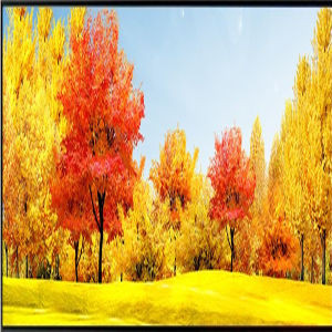 Buy Contemporary Acrylic Wall Art Australia | Modern Acrylic Art for Home Decor